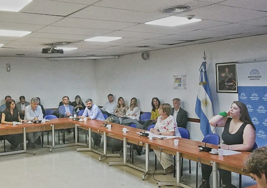 En este momento estás viendo Trabajando por una ley nacional contra el acoso callejero