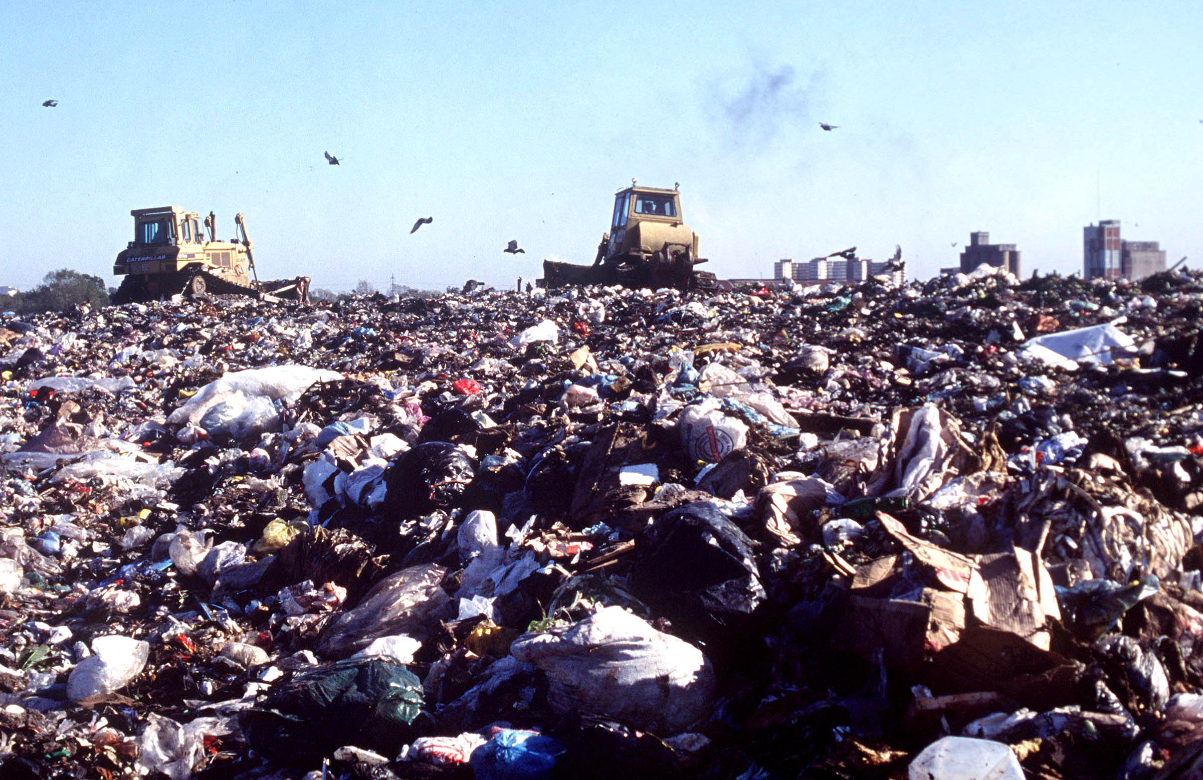 Lee más sobre el artículo Lo que nos cuesta la basura