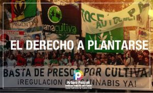 Lee más sobre el artículo El derecho a plantarse