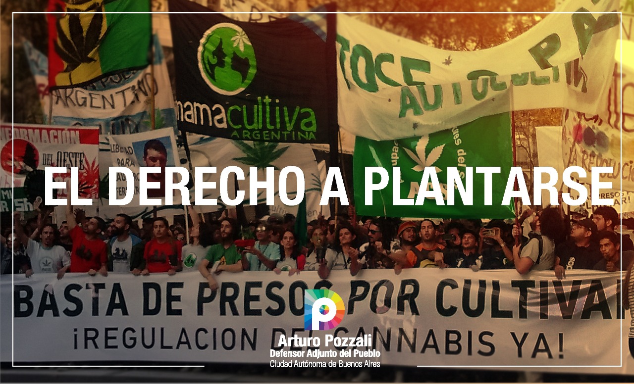 Lee más sobre el artículo El derecho a plantarse