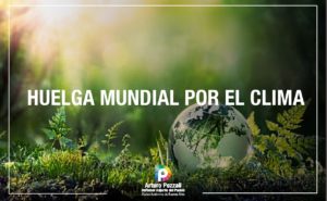 Lee más sobre el artículo Huelga Mundial por el Clima