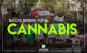 Lee más sobre el artículo Cannabis en tiempo de pandemia