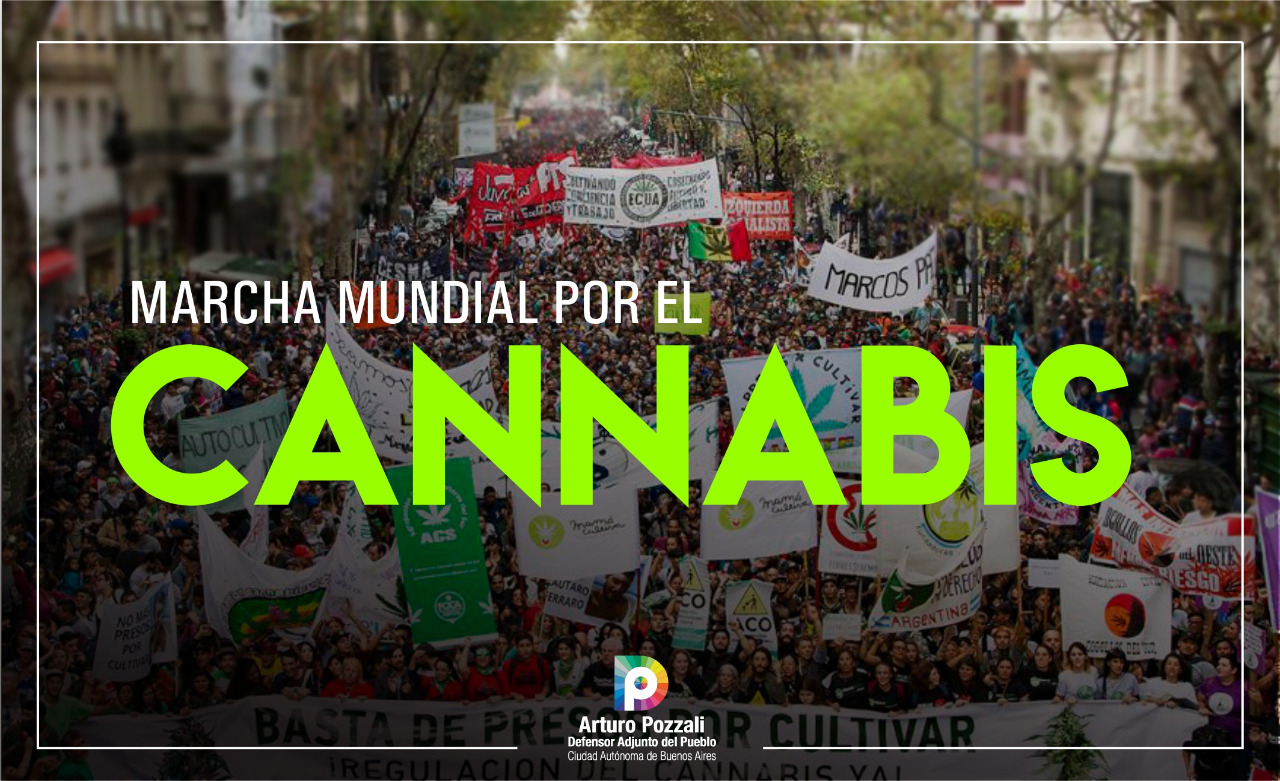 En este momento estás viendo Cannabis en tiempo de pandemia