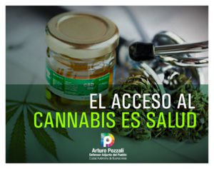 Lee más sobre el artículo El Acceso al Cannabis es Salud