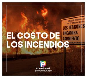 Lee más sobre el artículo El costo de los incendios