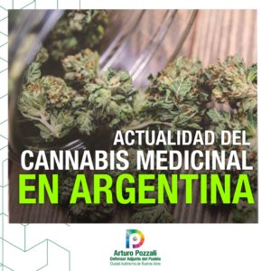 Actualidad del Cannabis medicinal en Argentina