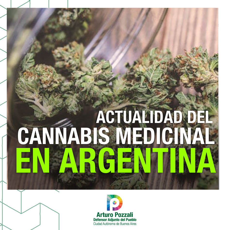 En este momento estás viendo Actualidad del Cannabis medicinal en Argentina