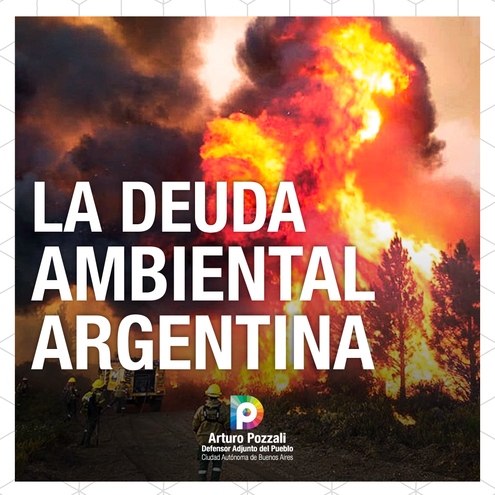 En este momento estás viendo La Deuda Ambiental Argentina