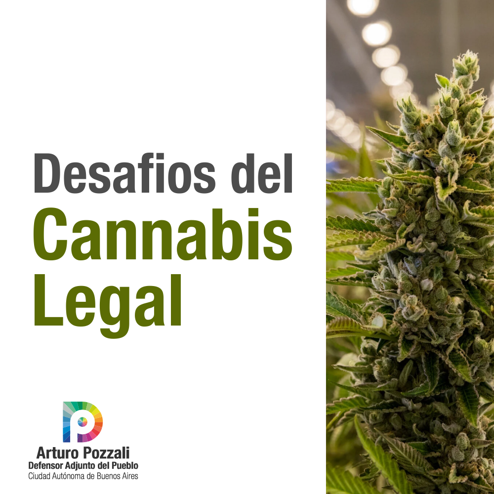 En este momento estás viendo Desafíos del Cannabis Legal