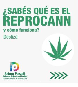 Lee más sobre el artículo REPROCANN