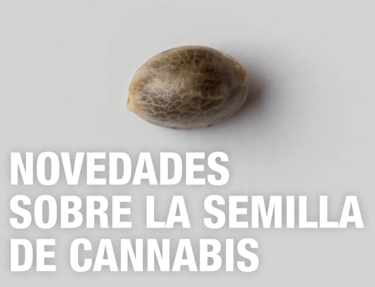 Novedades sobre la semilla de Cannabis